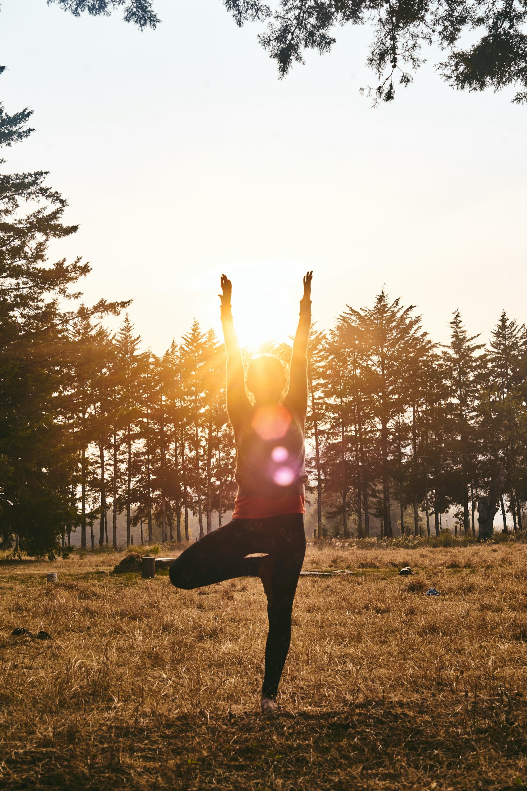 Private Yogastunden